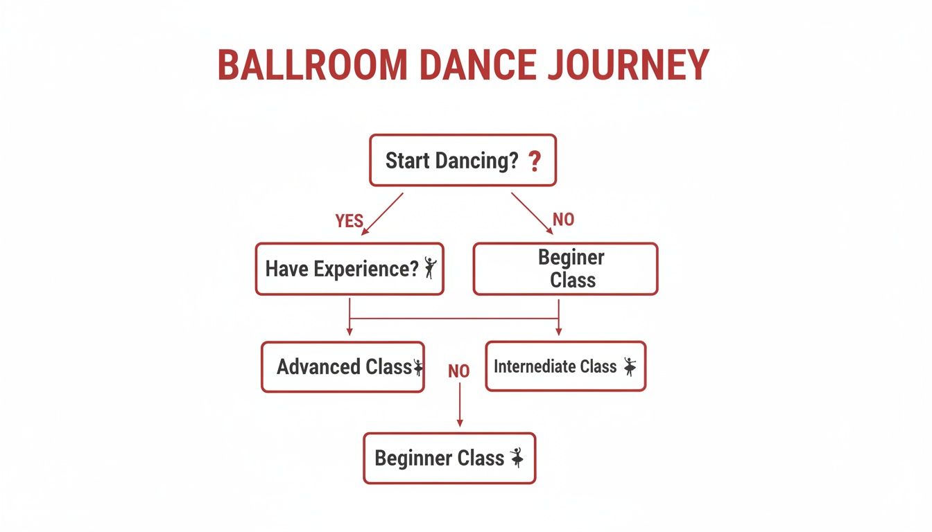 ballroomdanceinstructiondanceflowchart
