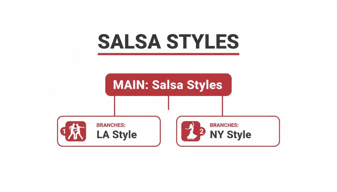 salsadancingstudiossalsastyles