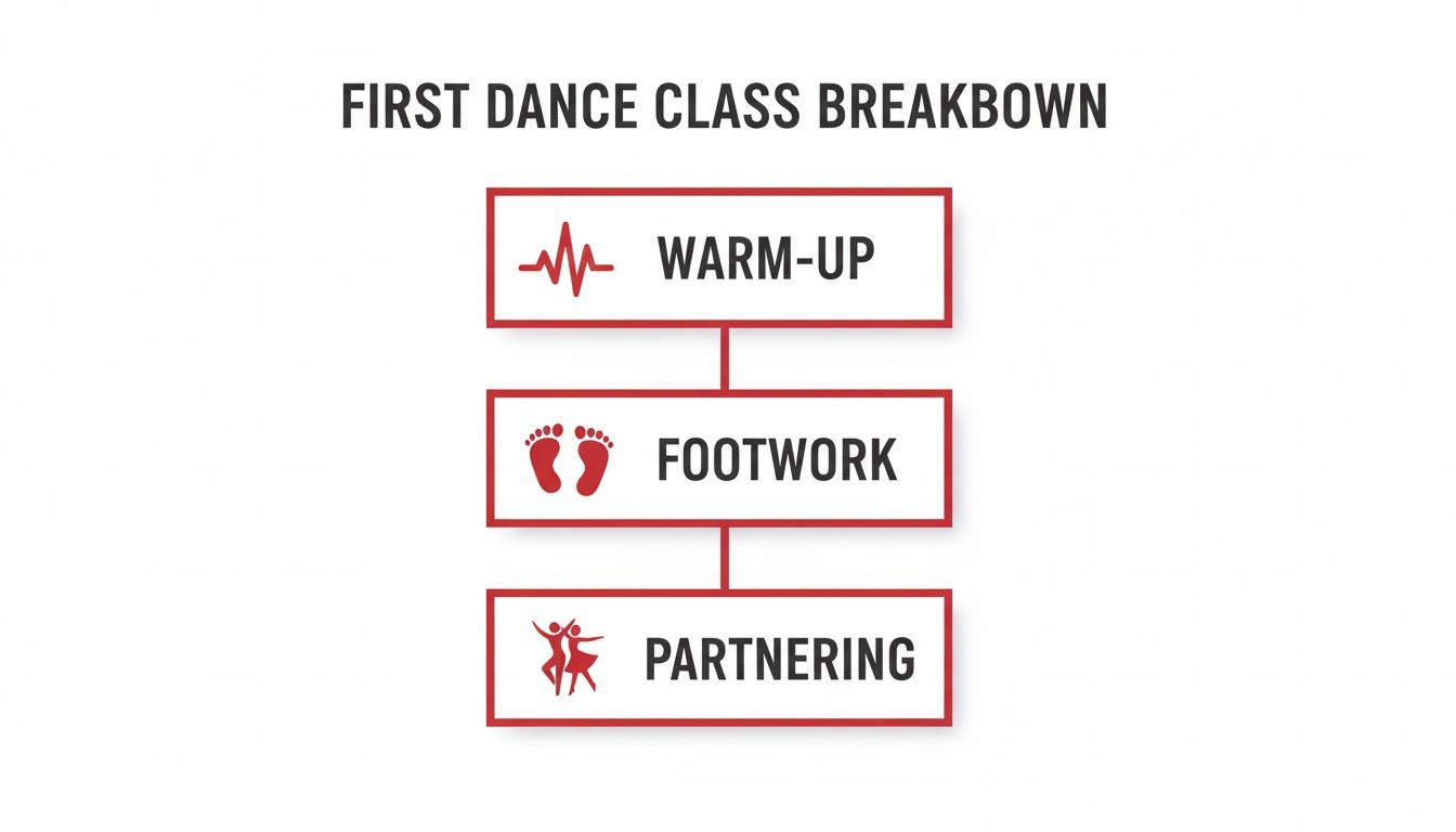 cubandanceclassclassbreakdown