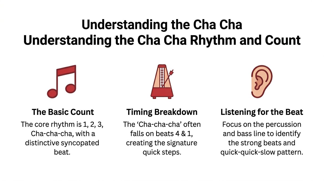howtodancethechacharhythmguide
